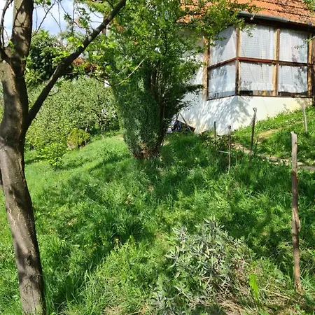 Dream Housee 펜션 비소코