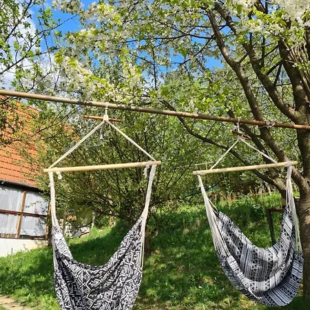 Dream Housee *
